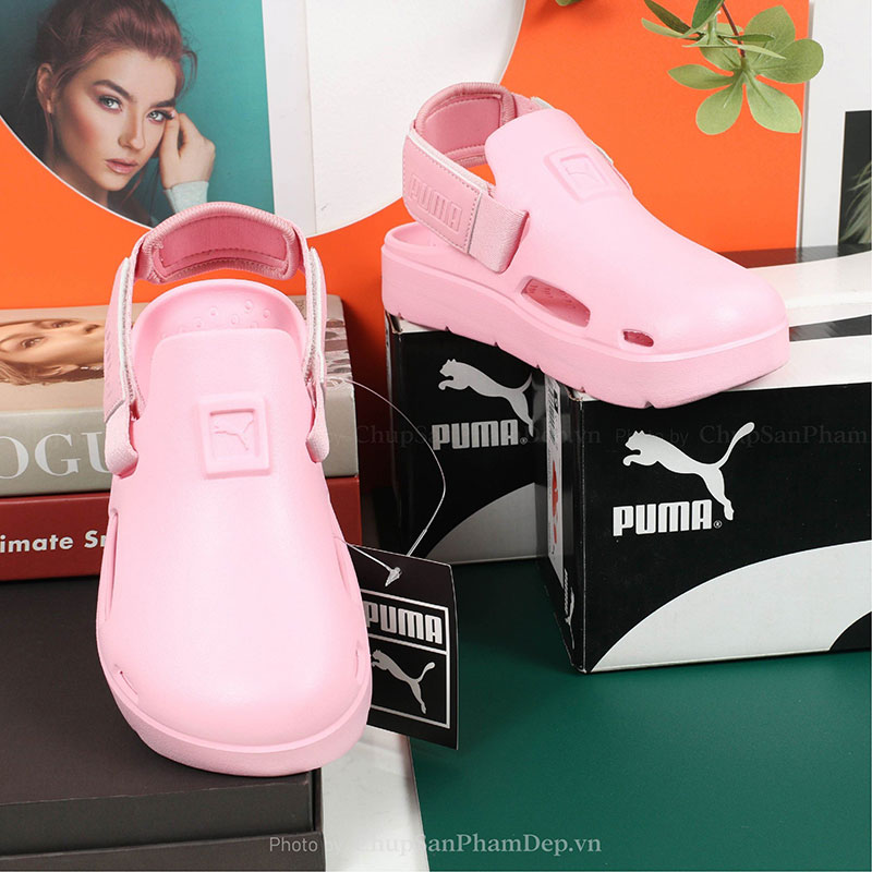 Sục Puma Thể Thao Cao Cấp