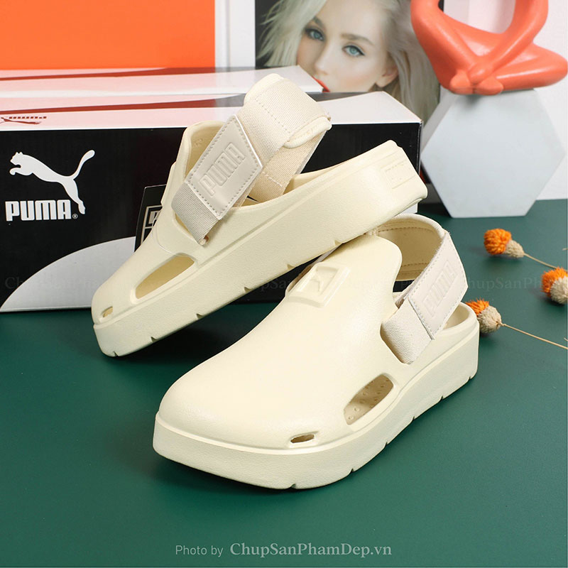 Sục Puma Thể Thao Cao Cấp