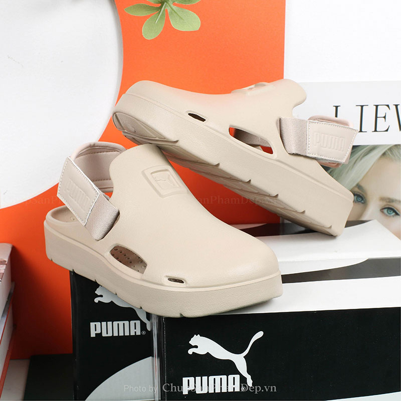 Sục Puma Thể Thao Cao Cấp